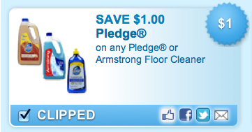 Pledge-Coupon