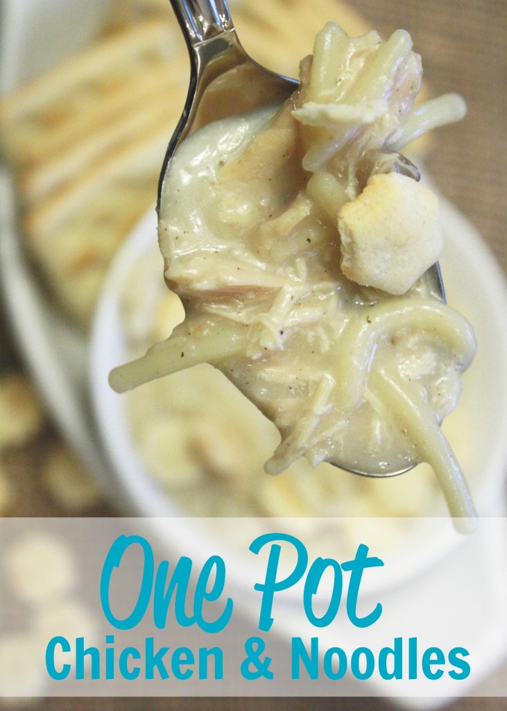 This chicken and noodles recipe - easy, one pot wonder is absolutely fantastic! I have a new way of making mine and this is it! My family LOVED these. 