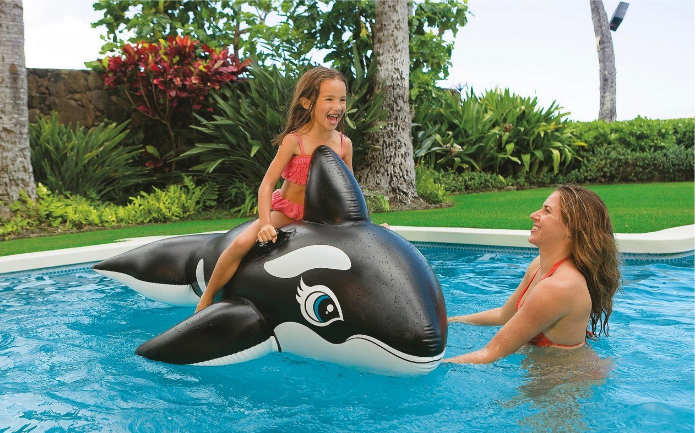 Whale Ride-On Pool Toy