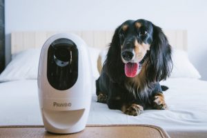 Pawbo Life Wi-Fi Pet Camera