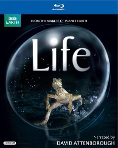 David-Attenboroughs-Life-On-Blu-ray
