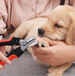 Professional Stainless Steel Dog Nail Clippers
