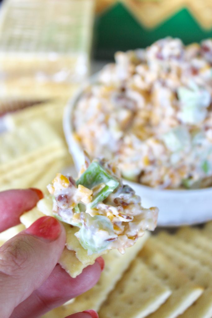 This is a great dip for ritz crckers, club crackers or veggies! 