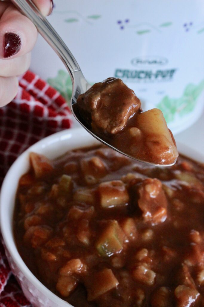spoonful of beef stew 